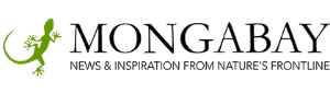 Mongabay Logo