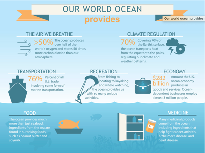 world ocean day infographic