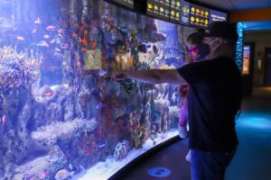 Family looking at floor to ceiling tropical fish tank