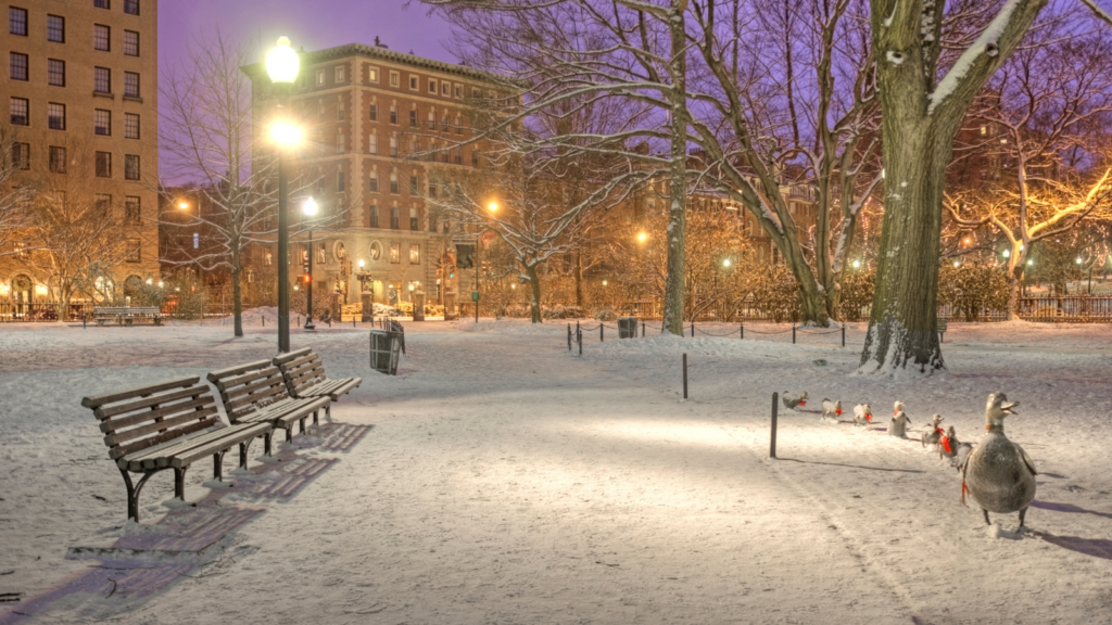 Boston Common with dusting of snow and ducklings statues