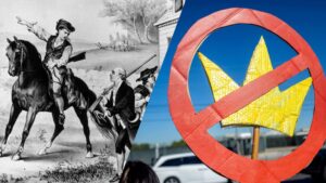 The Revolution will be Live-streamed: Social Media’s Impact on Grassroots Organizing