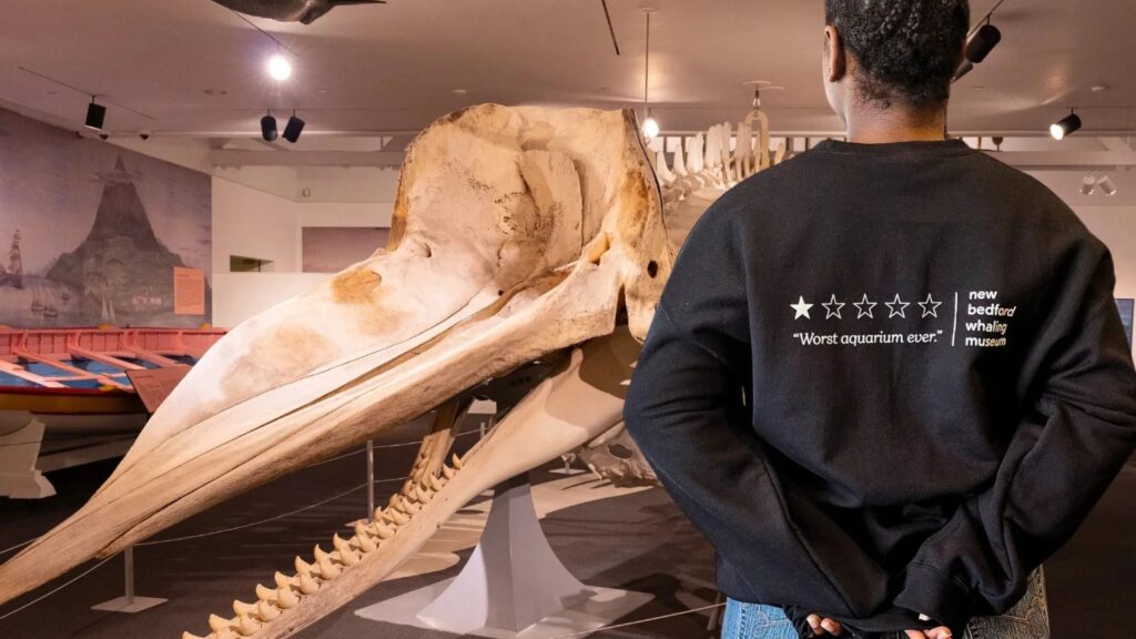 Whale of a Review: How a New Bedford Museum Turned a Bad Rating Into a PR Win