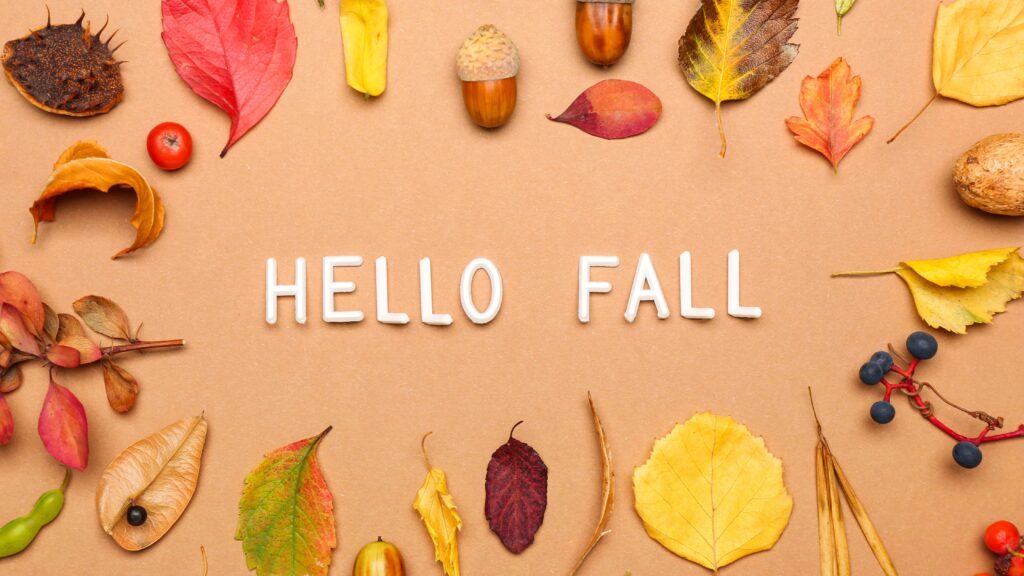 Fall News Hooks for Your Nonprofit's Pitch Calendar
